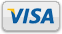 Visa Logo